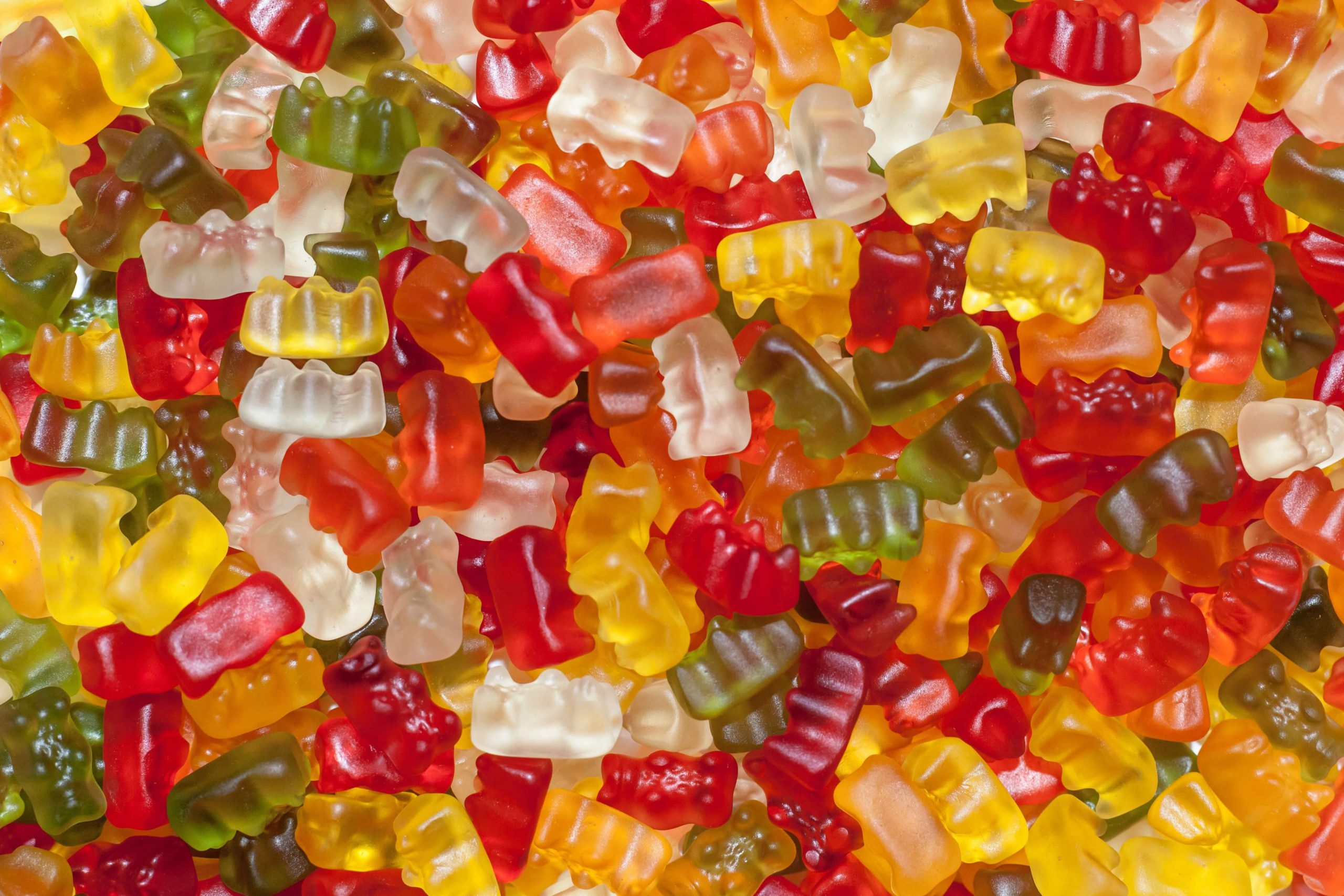 jelly bears in various colors