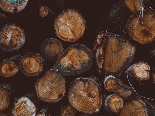 sun - cedar wood